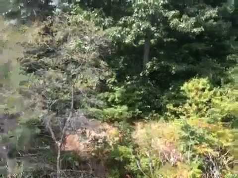 1 Arboretum Way, Canton, MA - Arboretum Apartments