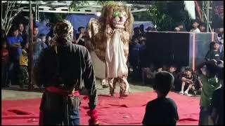 Download lagu Barongan satrio manunggal singo manis live desa kumpulrejo Patebon Kendal  mp3