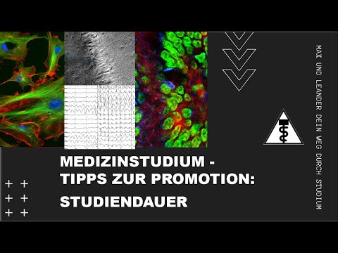 Der WICHTIGSTE Faktor für die DAUER einer KLINISCHEN DOKTORARBEIT!