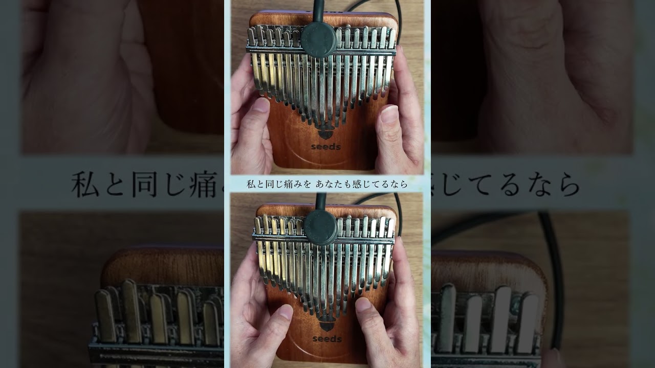 カリンバで二重奏してみた