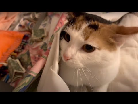 Monster strikes again!