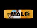 Dlala Thukzin, Zee Nxumalo - Mali feat  Sykes (Official Music Video)
