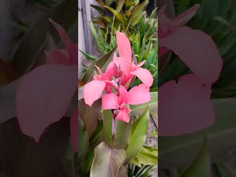 Życie tworzy Rysy w Obliczu Przeznaczenia