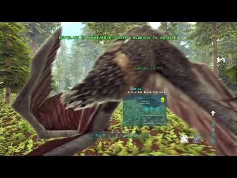 How to tame a Thylacoleo