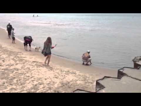 Danya and Zane in SoHa