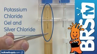 BRS Lab Grade ph Probes