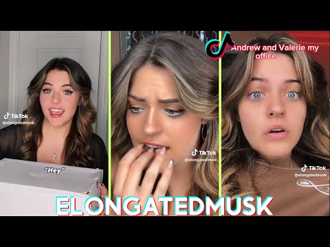 ELONGATEDMUSK POV  Tiktok Funny Videos - Best tik tok POVs of @ValerieLepelch  2023