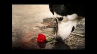 all i want michael w smith