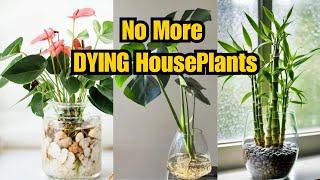 8 INDOOR PLANTS THAT CAN GROW IN WATER! | NO SOIL NEEDED