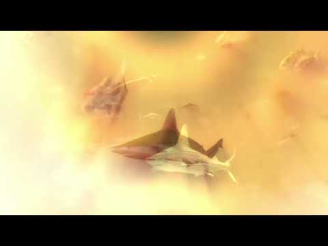 DreamWeaver ft. botanical anomaly - winter wing (75% slowed)