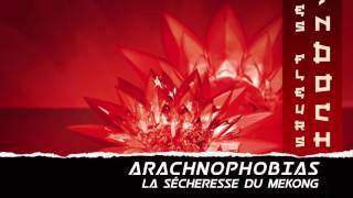 Arachnophobias - La Secheresse Du Mekong (Indochine Cover)