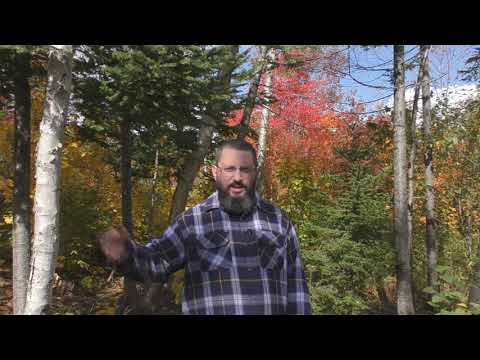 Will Anyone Survive The Time Of Jacob's Trouble?