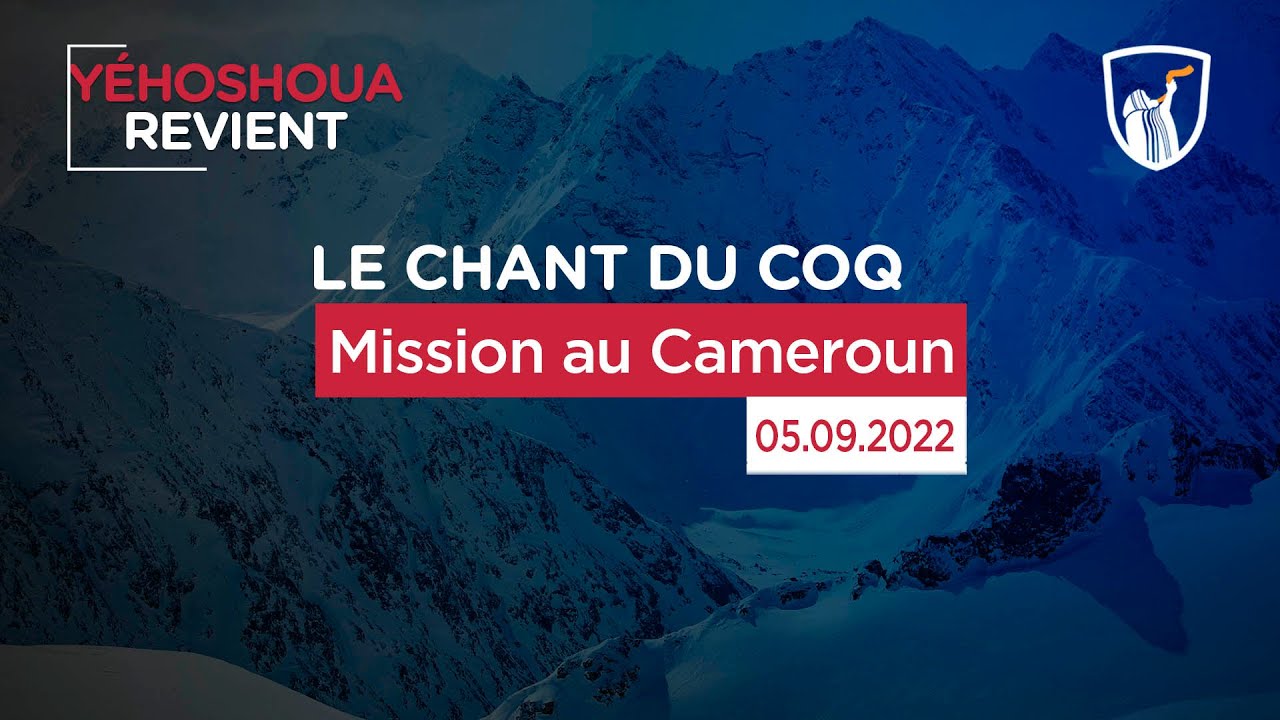 Thumbnail of video: Mission au Cameroun
