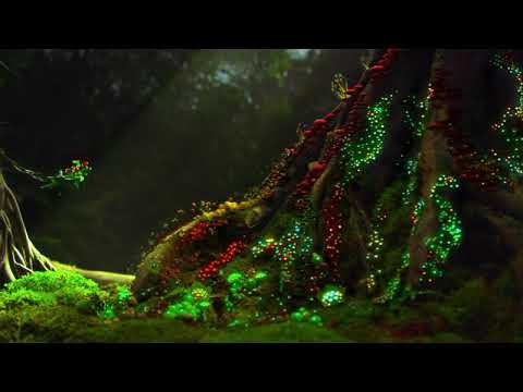 Vídeo en 3d (ver con gafas)