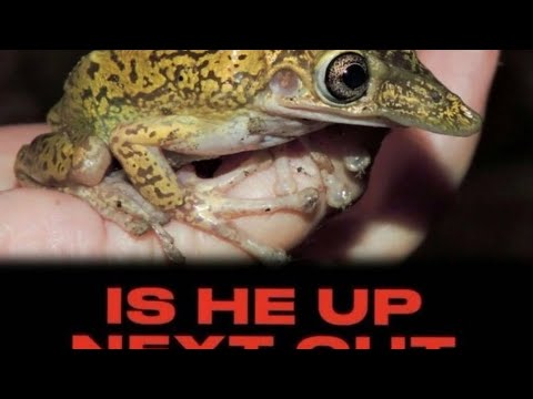 Deckgloom depths - doubles (ft: Juan palomeque)