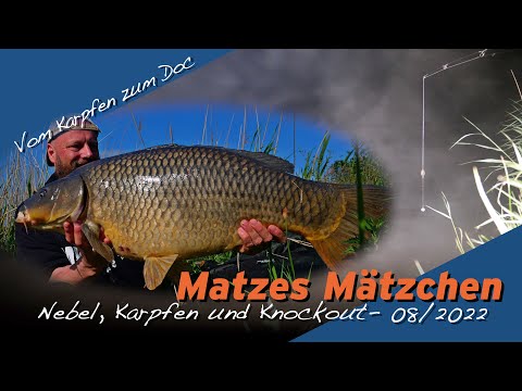 Matze Koch: Vom Biss zum Arzt - Matzes Mätzchen 08-2022