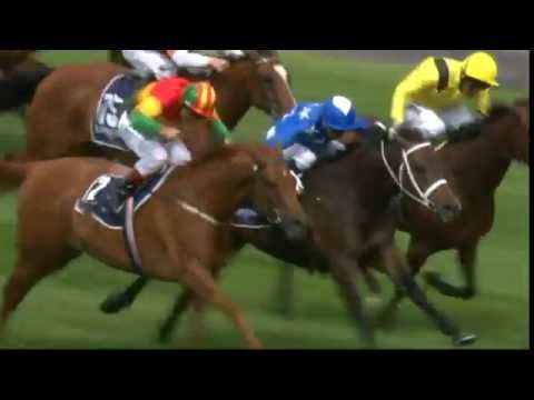 2014 VRC L K S Mackinnon Stakes