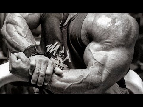 Mc Seta ( Quer Malhar quer Crescer ) Marombeiro