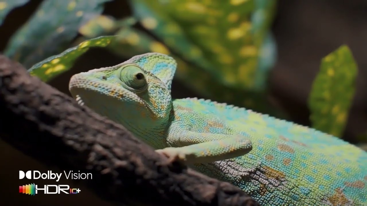 Телевізор SKYWORTH 55Q66G AI QLED+ DOLBY VISION ATMOS video preview