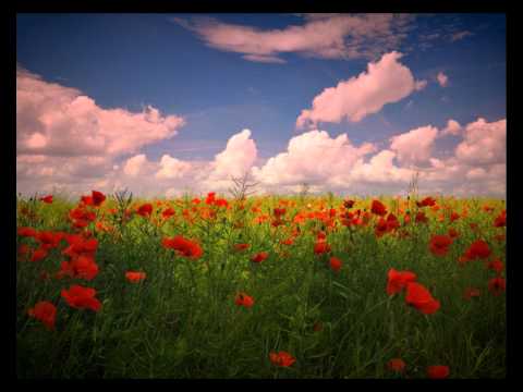 Amurai vs Static Blue - After The Sunrise (Manvel Ter-Pogosyan Remix)