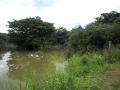 GW Palugaswewa
