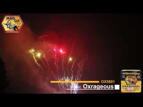 OX5801 500g Oxragious by Mad Ox Fireworks