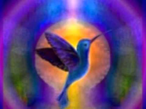 1258 Davison Quintino - Beija Flor de Luz