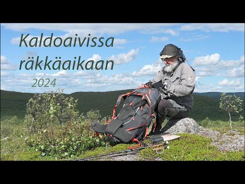 Kaldoaivi räkkäaikaan 2024