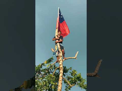 Beautiful Samoa (Aele) 2023