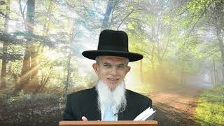 דרך השם רמח"ל I חלק ב - פרק 5, באופן ההשגחה I הרה"ג יוסף הללויה שליט"א I שיעור 114