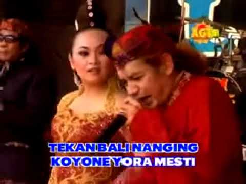 Jamu Pegel Melarat    Paijo ft Dewi  Nirwana Campursari
