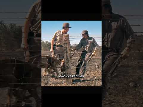 Один человек против охраны и всего лагеря