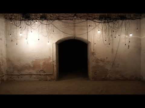 Lightbulbs (Rosvita Radikal)