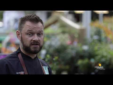 Asian Style Pork Kebabs Cooked On Traeger Timberline 850