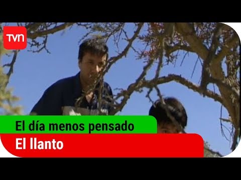 download lagu mp3 mp4 Menos P, download mp3 Menos P free download, download mp3 Menos P