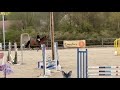 Jument de 4 ans, belles allures, id&eacute;ale amateur