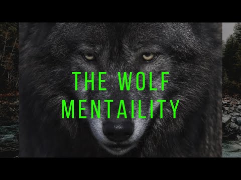 LONE WOLF MOTIVATION  Wolf attitude Ft Eric Thomas  Motivational Speech for success in life