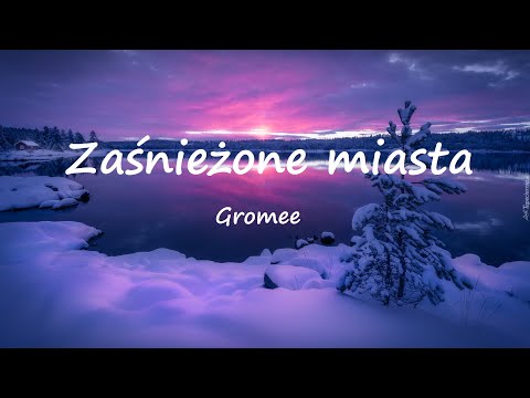 Gromee - Zaśnieżone miasta (Lyrics) ft. Sound'n'Grace