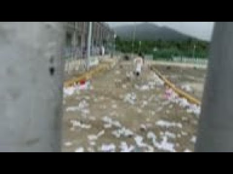 Members of Jewish sect protest at Mexican govt shelter