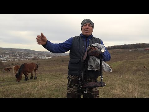 Caii lui Nea' Costel de la Cluj ep  194 - 2025 Nou!!!