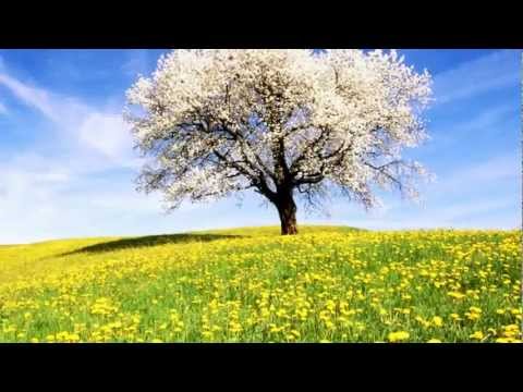 Rudolf Stambolla - Po Vjen Pranvera   ( HD Quality )