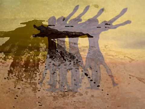 Dali movimiento 7. Novation nova, access virus ti, korg radias, korg karma