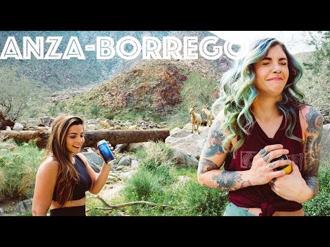 Hiking for Beer with IsBeerACarb  | Anza-Borrego Palm Canyon Trail & Alpine Beer Co | #Earnyourbeer