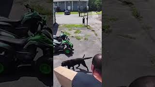 Funniest Animal Cam Moments of 2026... So Far! 🐕💥🎥