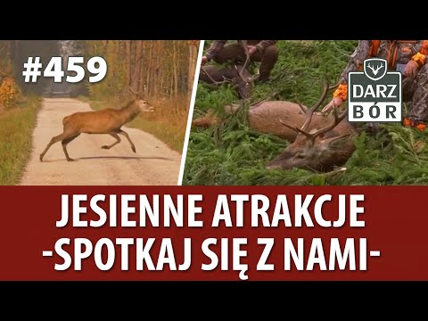 Darz Bór odc 459 Jesienne atrakcje- Spotkaj się z nami.