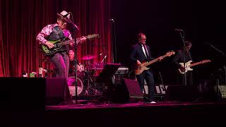Elvis Costello - Human Hands