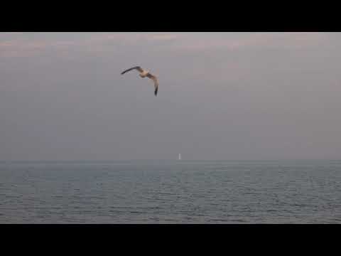 KINGSFOLD, played by David Myford, violin, and Carol Myford, piano