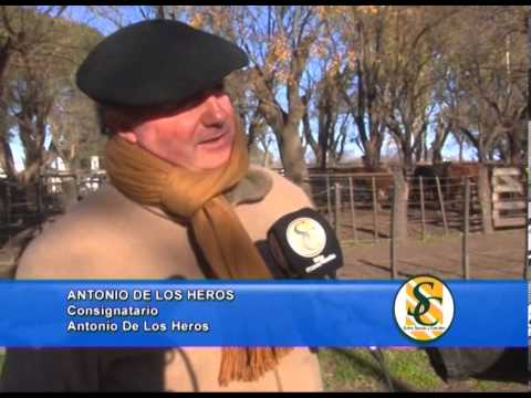 ANTONIO DE LOS HEROS - Da -- Nes S.R.L. - Antonio de Los Heros - Tapalqué - 18/07/2013