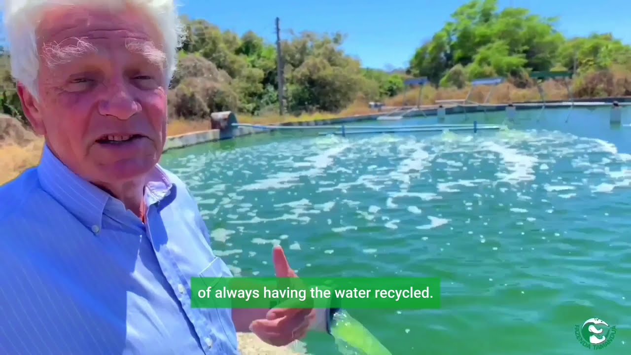 Processo de Produção da Spirulina Biodinâmica