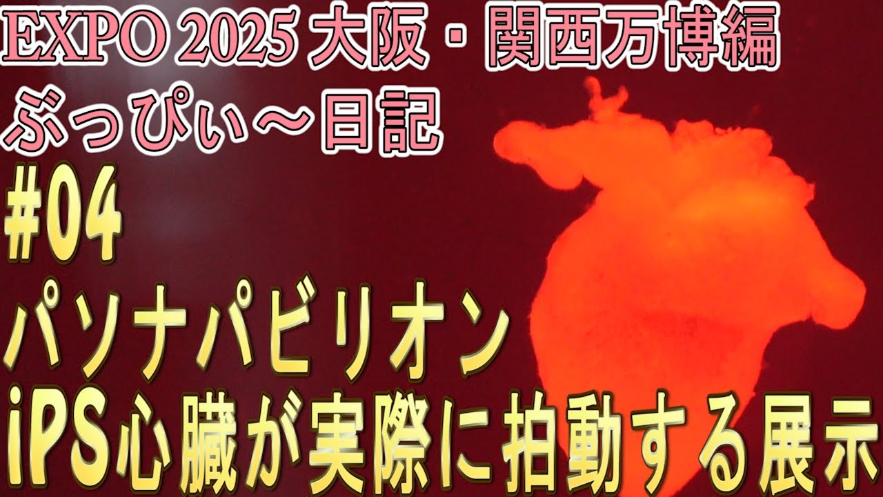 【大阪関西万博2025】iPS心臓が実際に拍動する展示、パソナパビリオン！